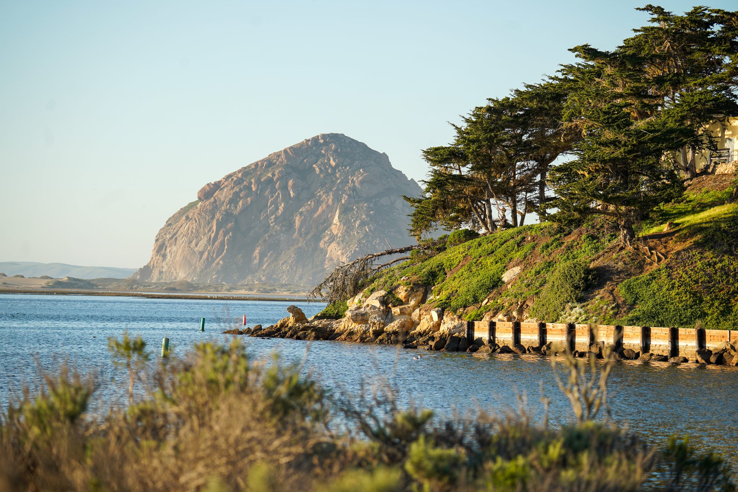 Morro Bay Sea Kayaking
